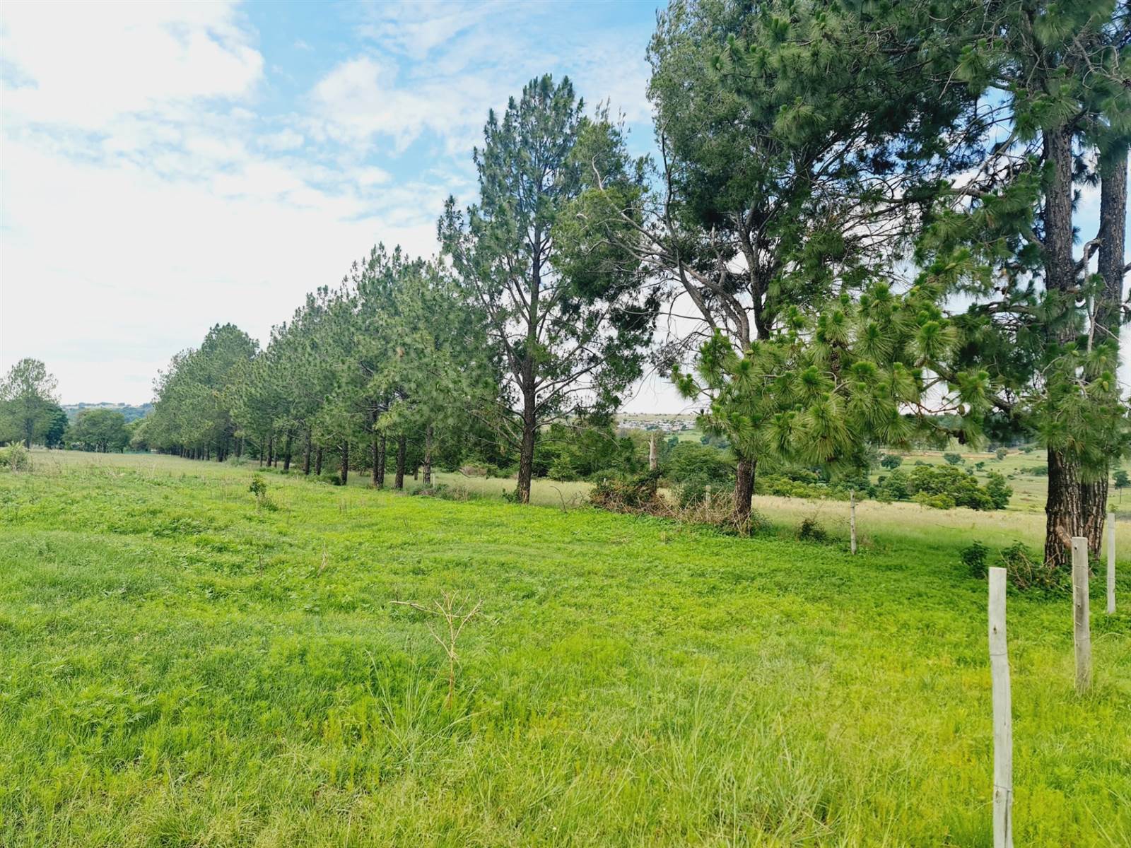 8.5 ha Land available in Muldersdrift photo number 7
