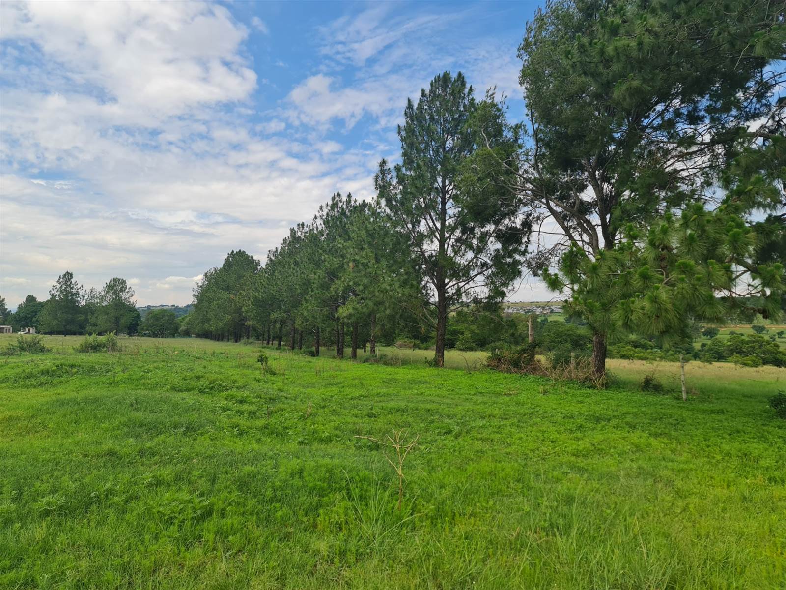 8.5 ha Land available in Muldersdrift photo number 6