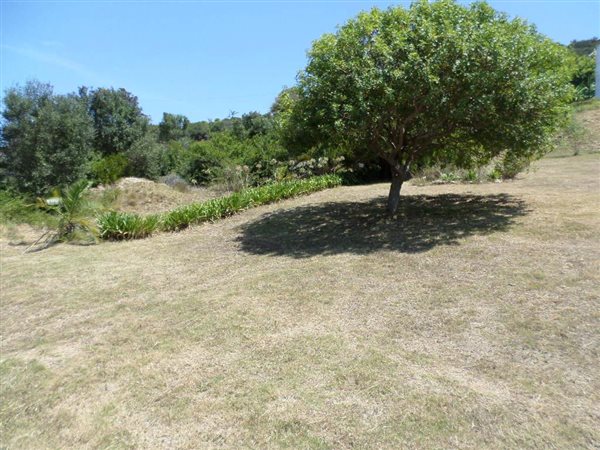 585 m² Land available in Great Brak River