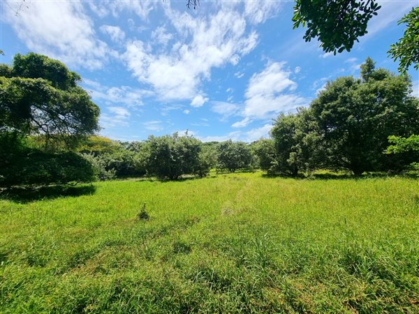 1162 m² Land available in Simbithi Estate