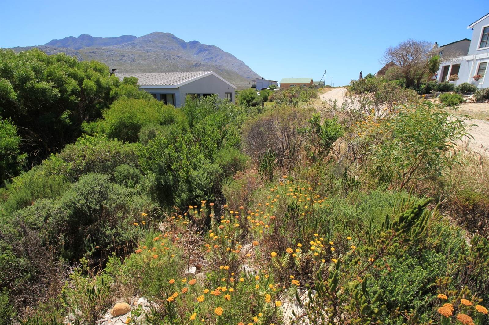 600 m² Land available in Pringle Bay photo number 11