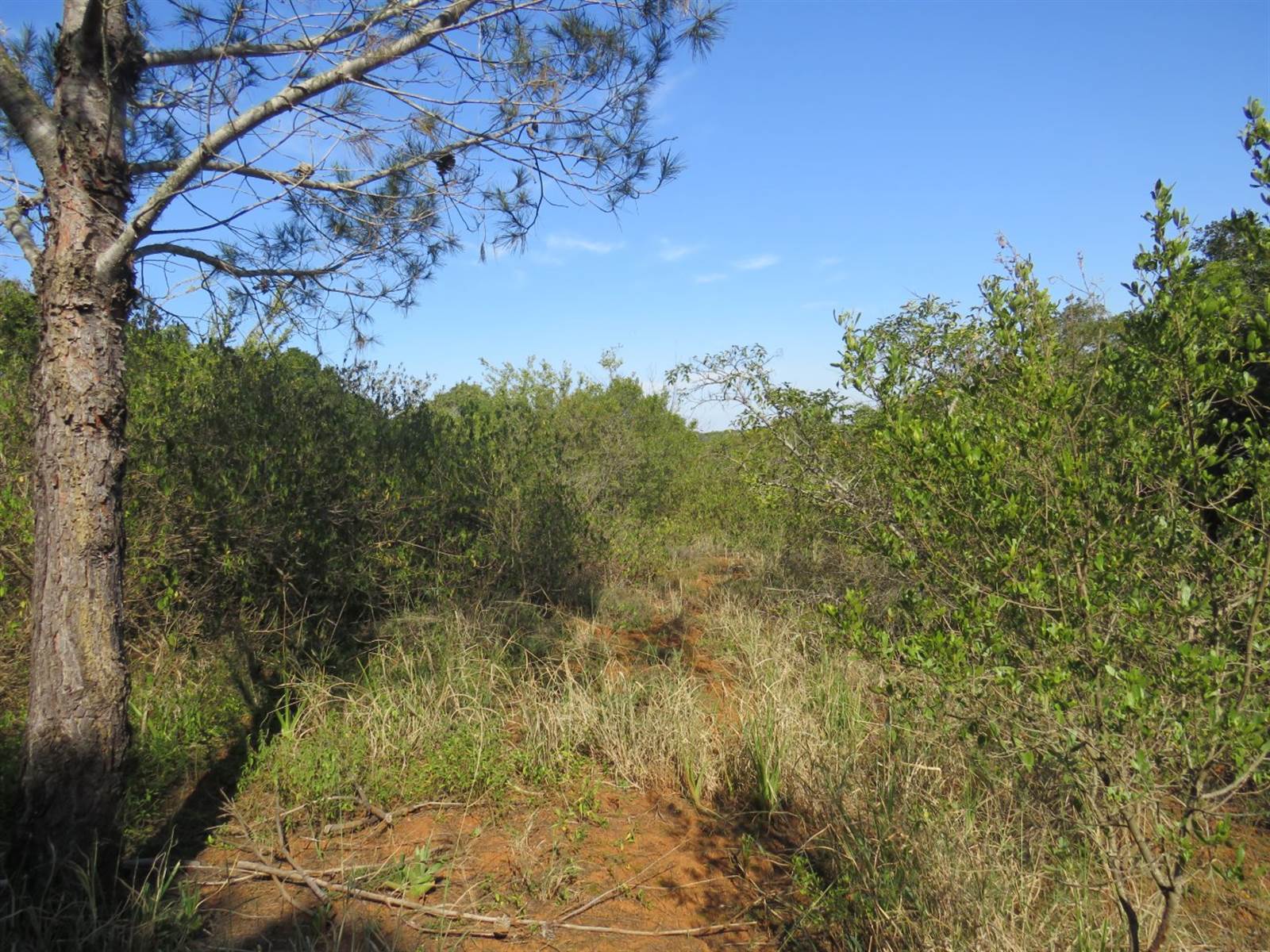 8565 m² Land available in Bathurst and Surrounds photo number 2