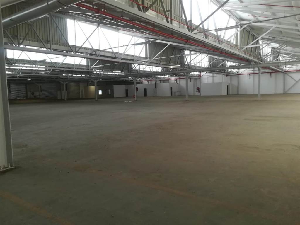 4800  m² Industrial space in Jacobs photo number 3