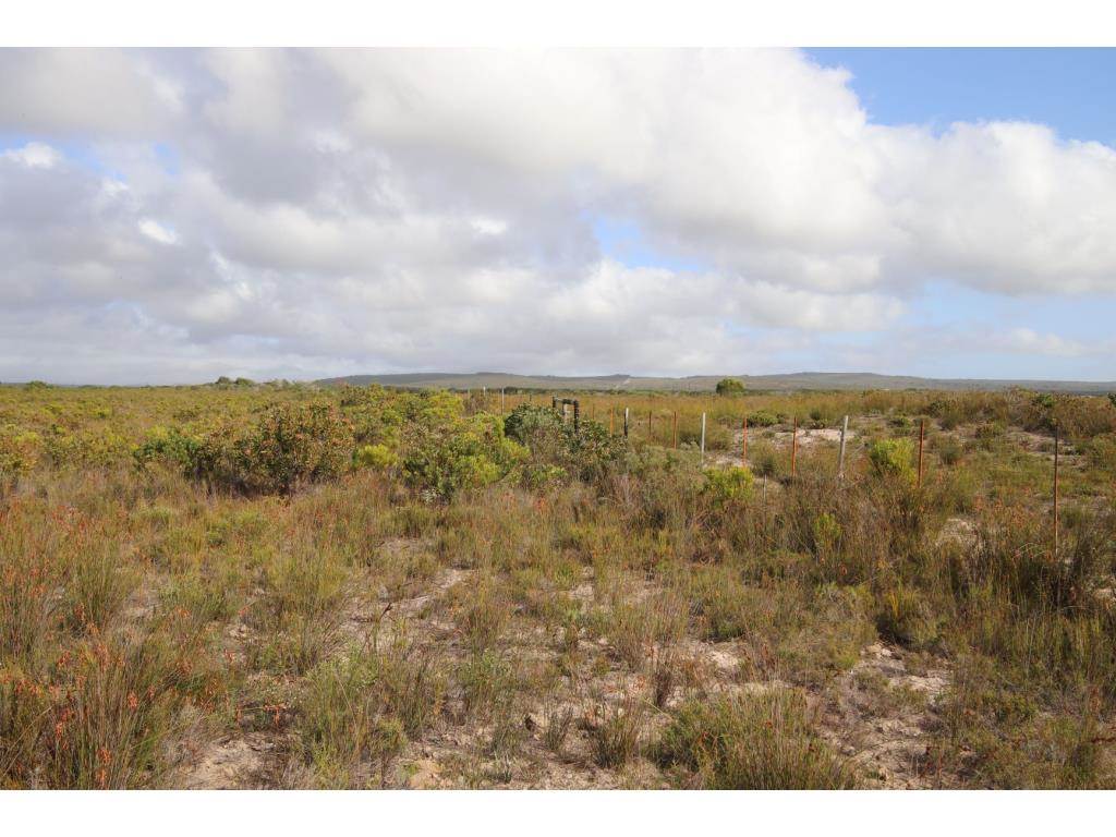 280 ha Land available in Gouritsmond photo number 24