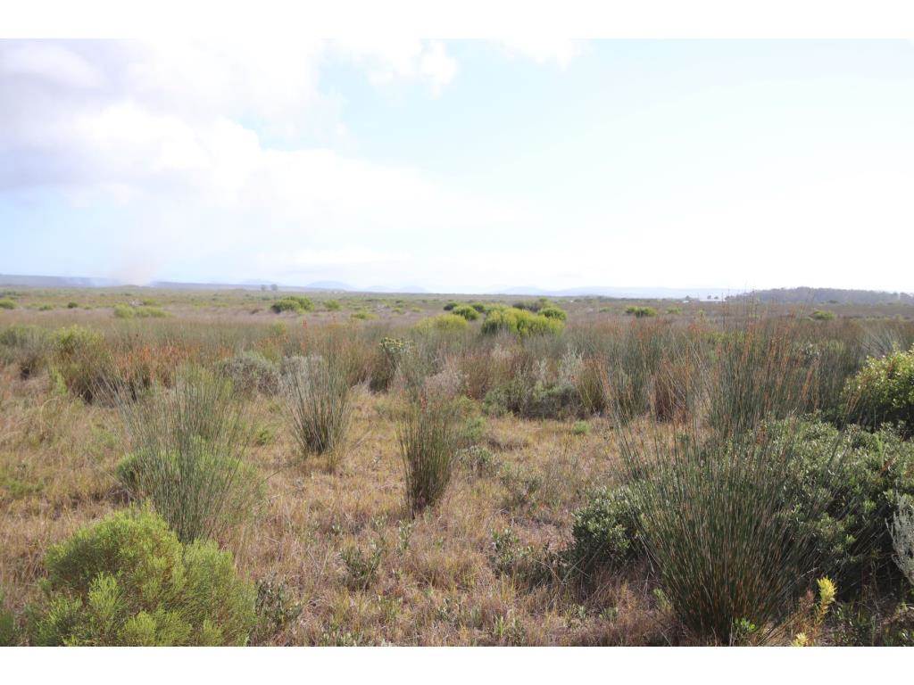 280 ha Land available in Gouritsmond photo number 15
