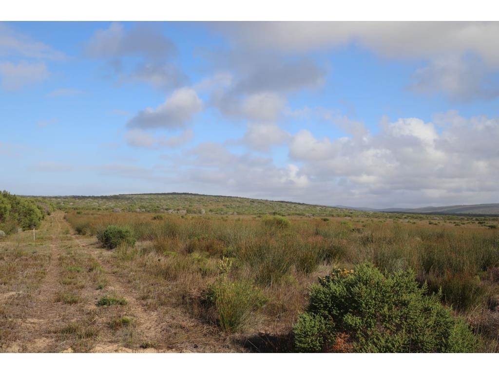 280 ha Land available in Gouritsmond photo number 13