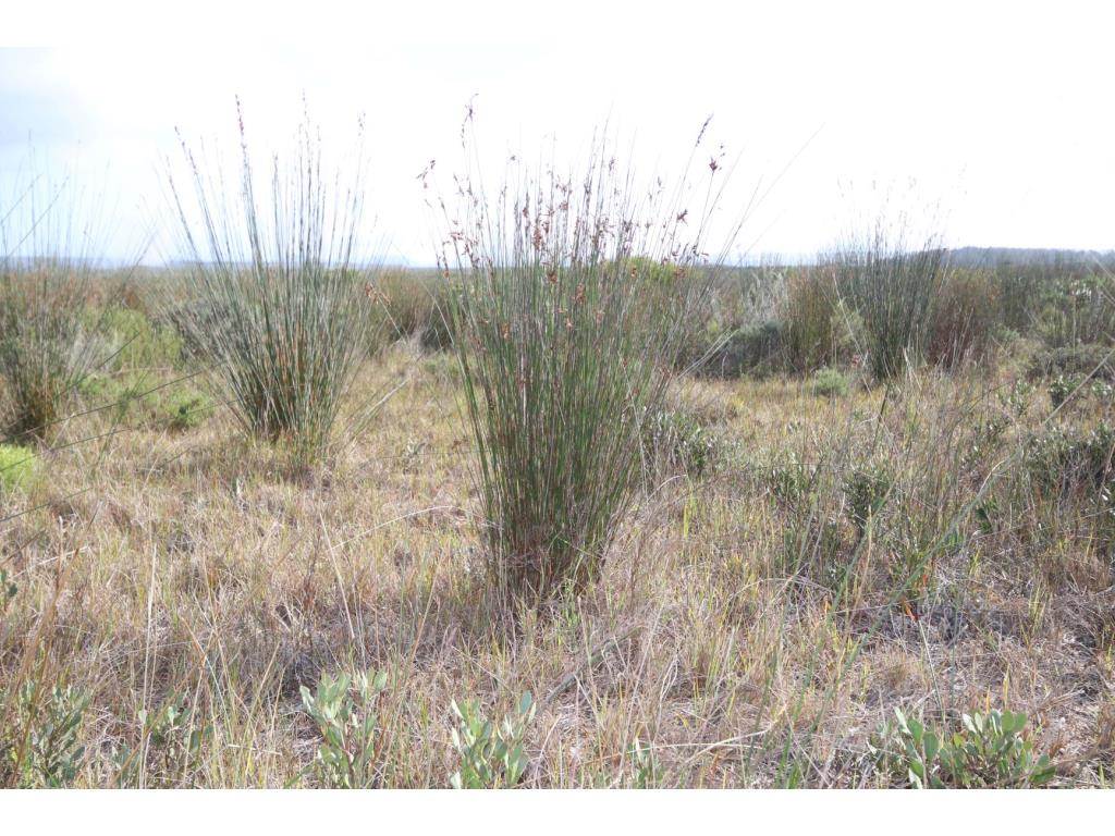 280 ha Land available in Gouritsmond photo number 16