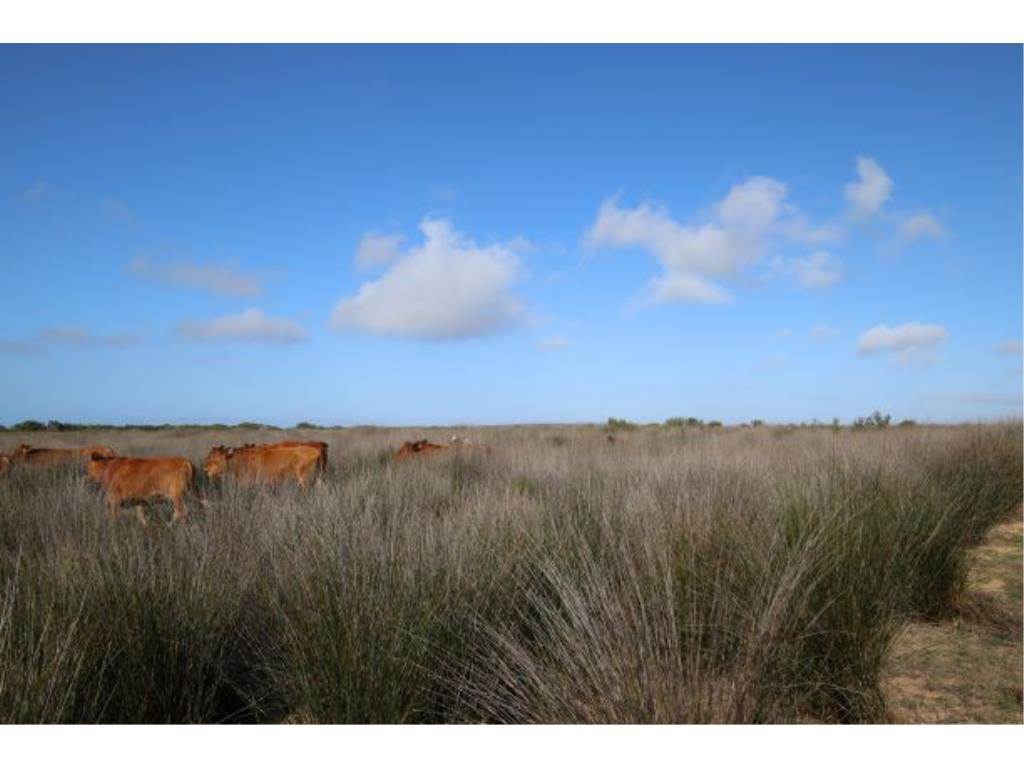280 ha Land available in Gouritsmond photo number 2