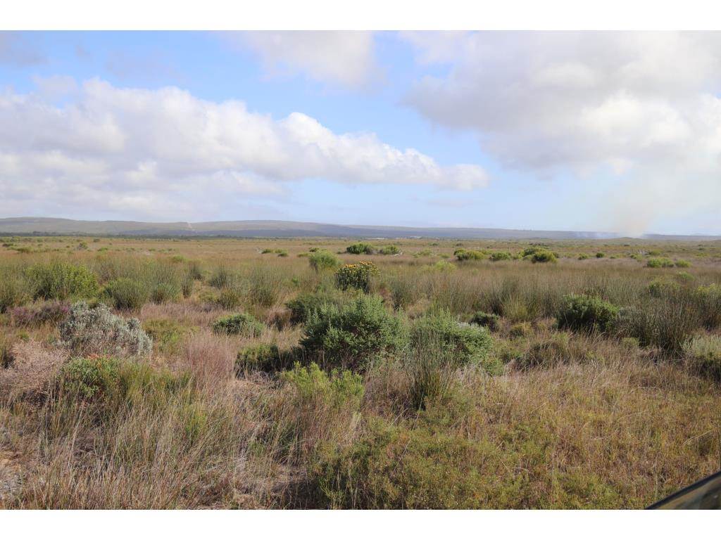 280 ha Land available in Gouritsmond photo number 14