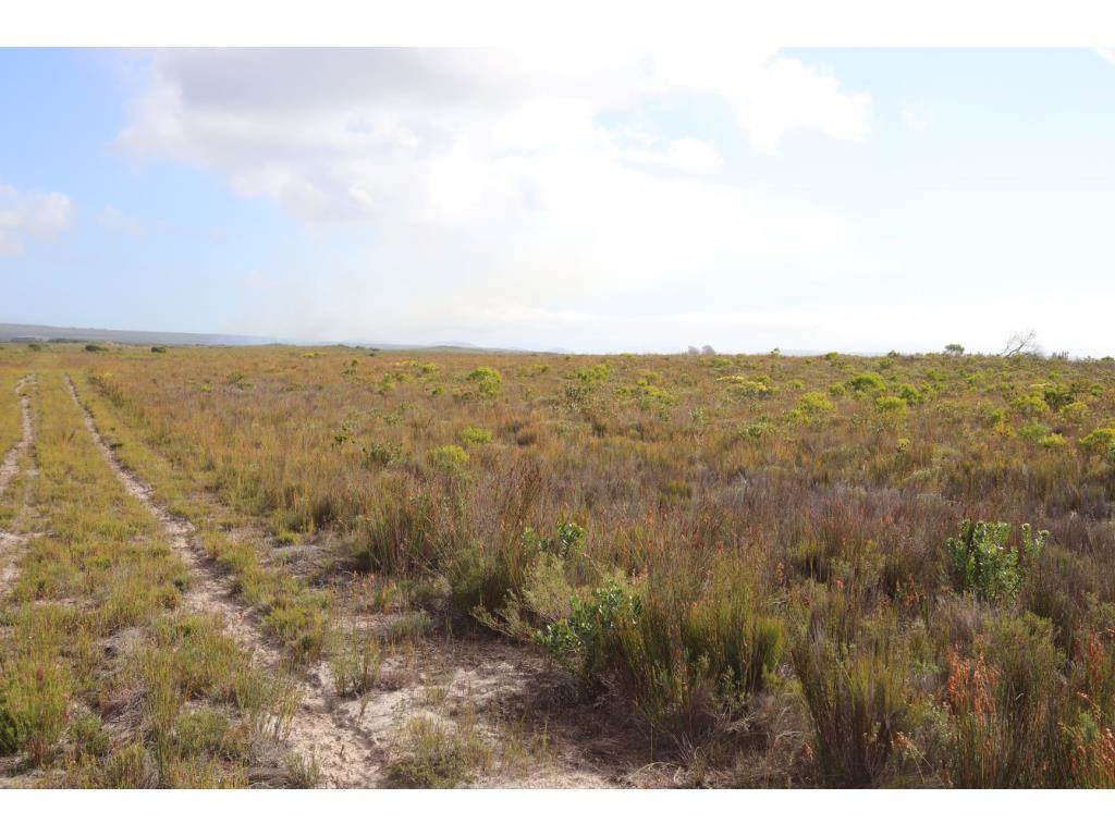 280 ha Land available in Gouritsmond photo number 23