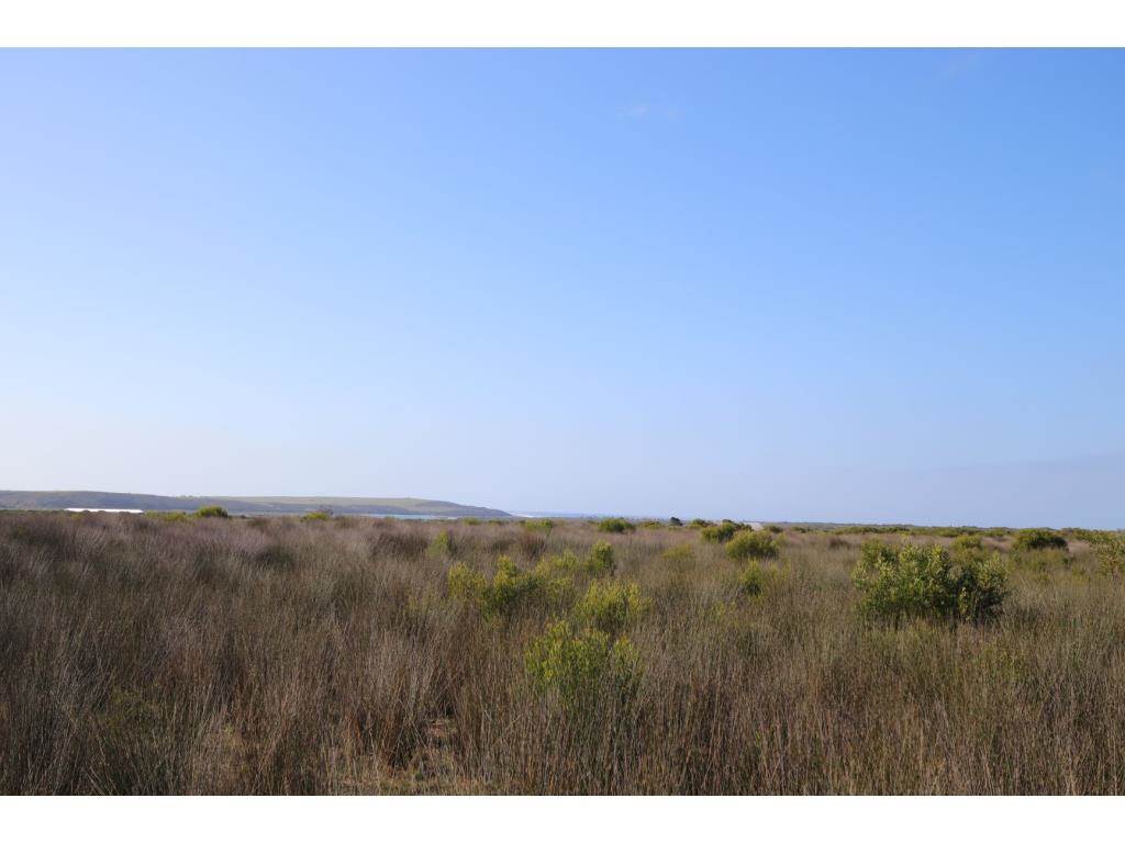 280 ha Land available in Gouritsmond photo number 7