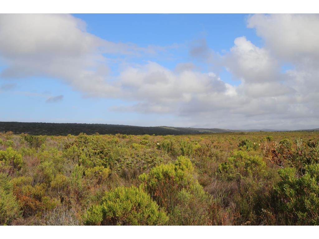 280 ha Land available in Gouritsmond photo number 22