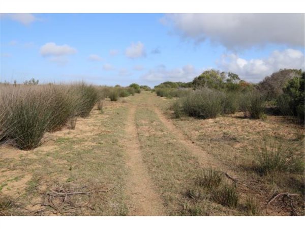 280 ha Land available in Gouritsmond