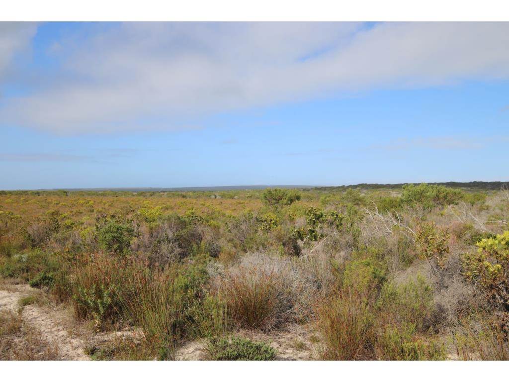 280 ha Land available in Gouritsmond photo number 20