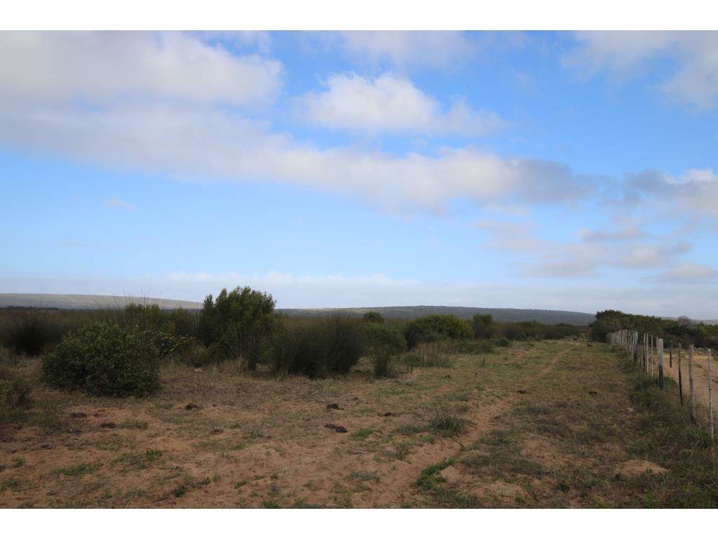 280 ha Land available in Gouritsmond photo number 27