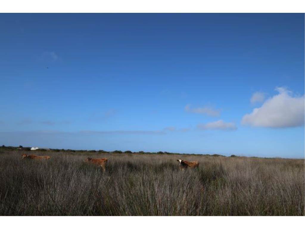 280 ha Land available in Gouritsmond photo number 6