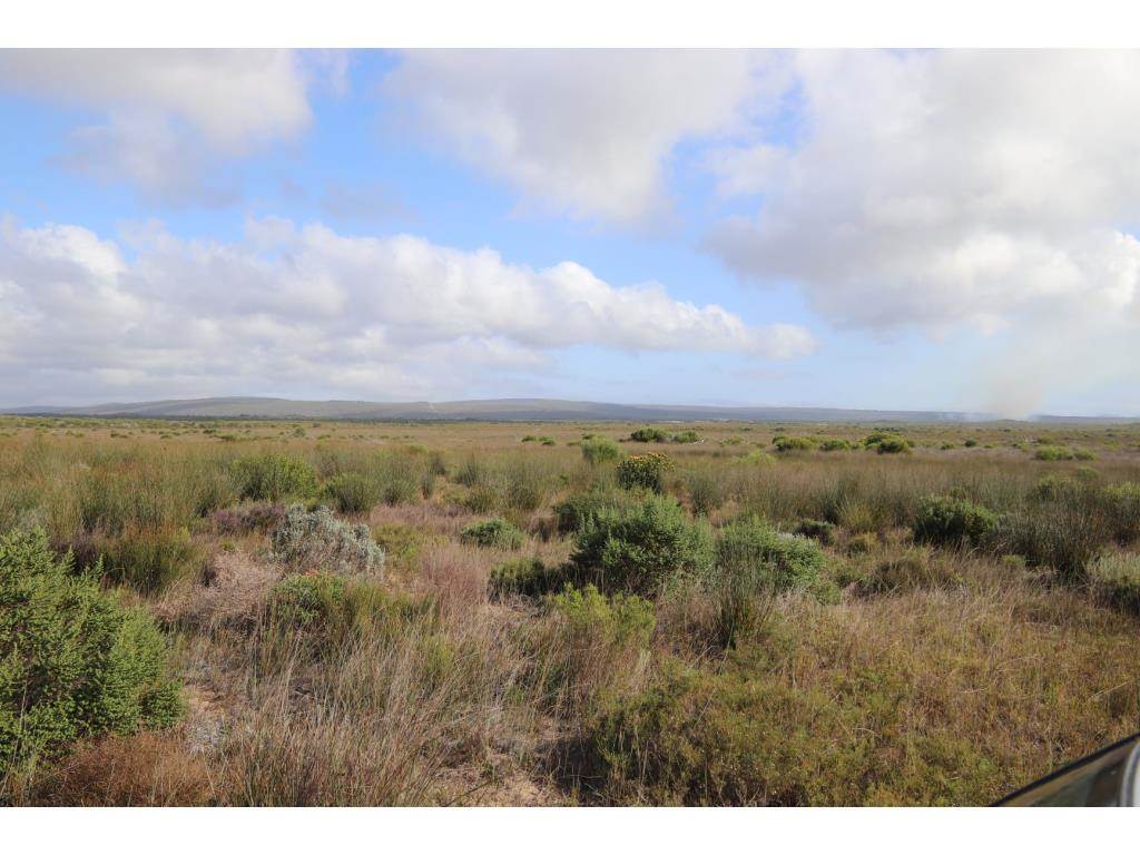 280 ha Land available in Gouritsmond photo number 12
