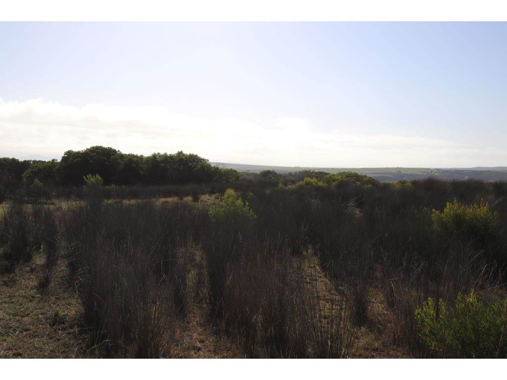 280 ha Land available in Gouritsmond photo number 9
