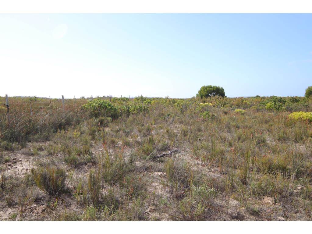 280 ha Land available in Gouritsmond photo number 26