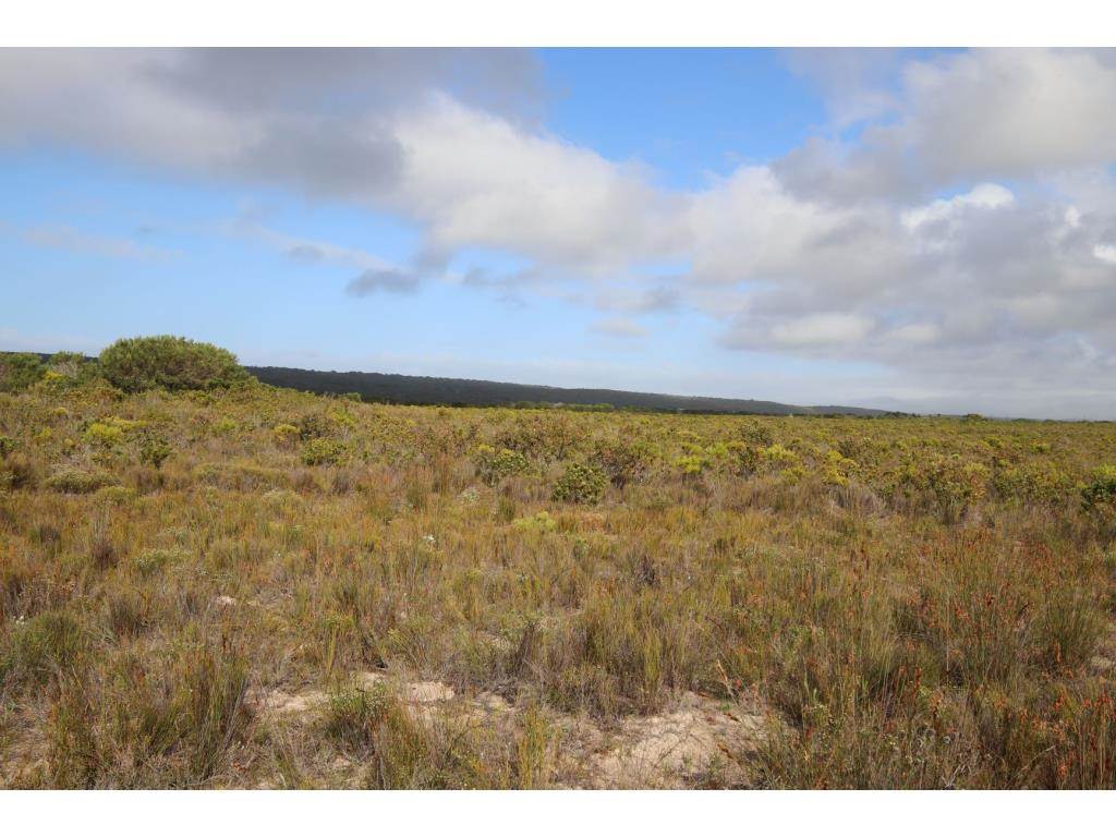 280 ha Land available in Gouritsmond photo number 25
