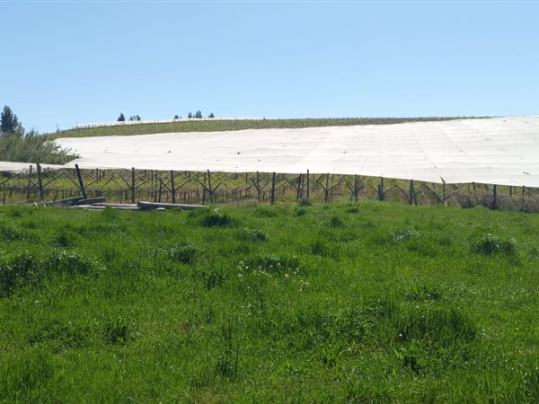 525 m² Land