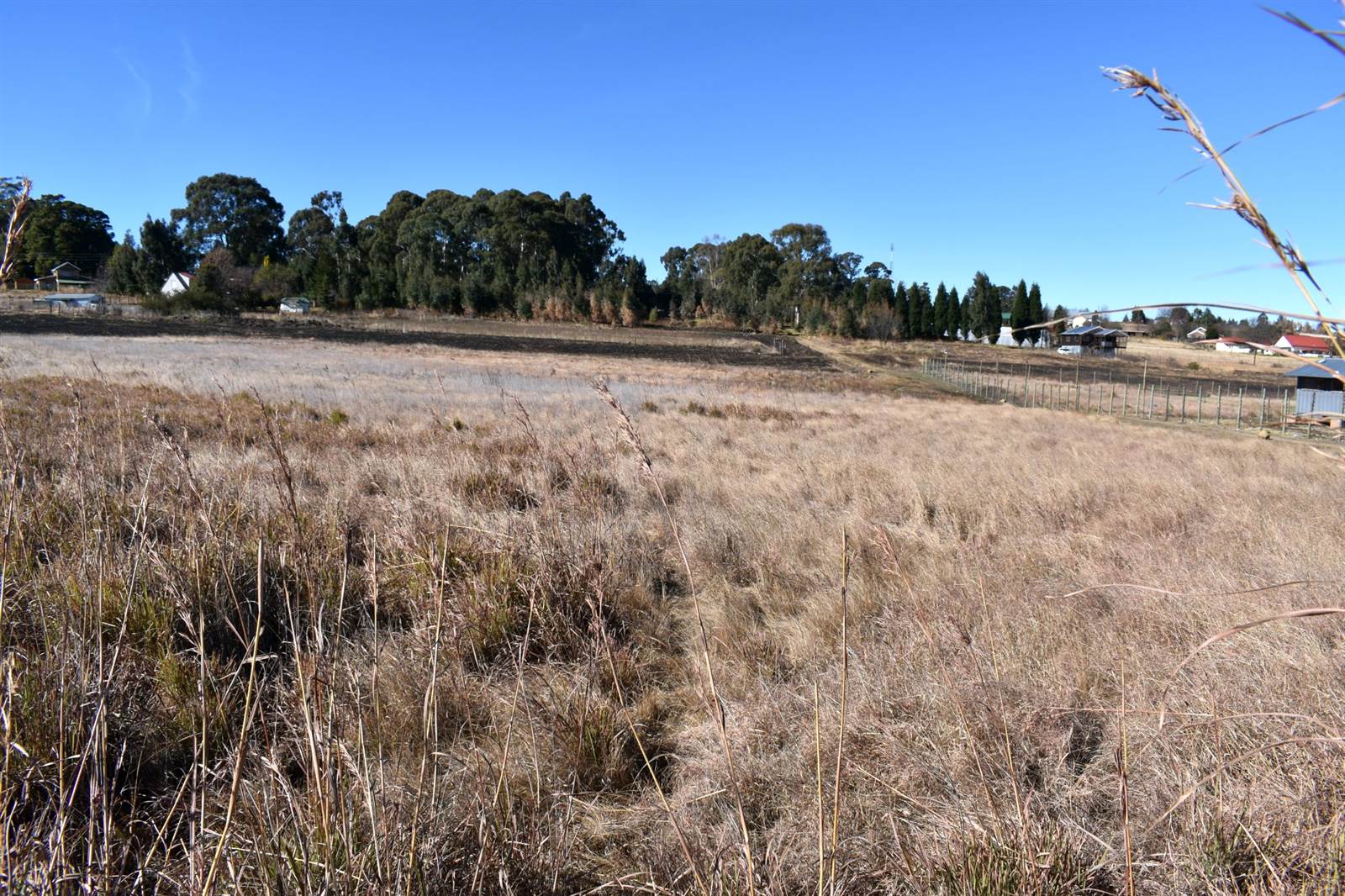5949 m² Land available in Dullstroom photo number 2