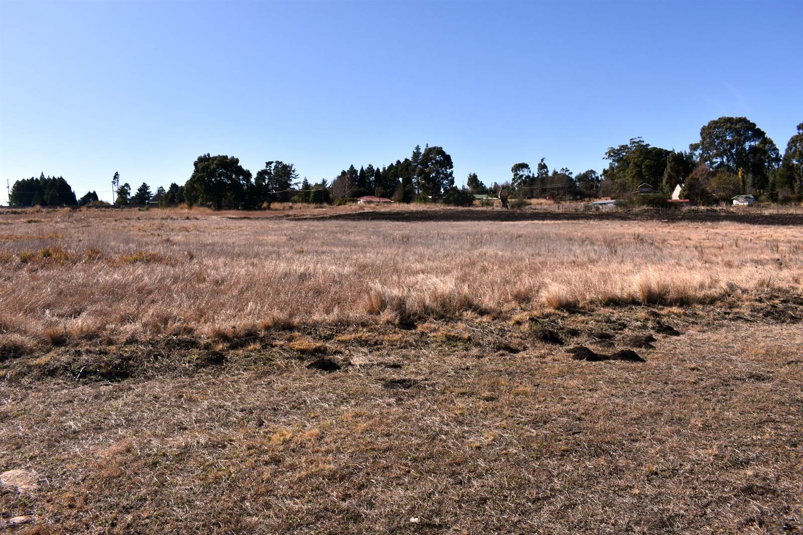 5949 m² Land available in Dullstroom photo number 8