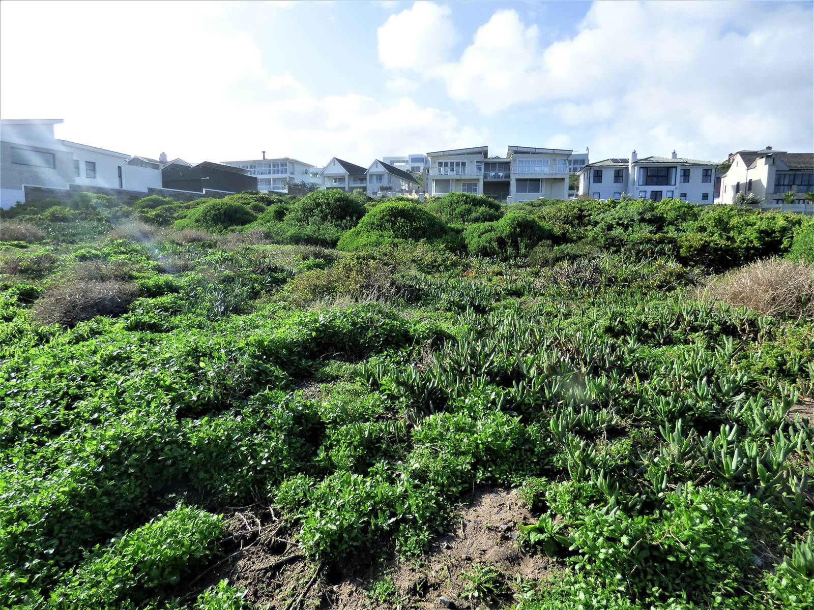 947 m² Land available in Yzerfontein photo number 4
