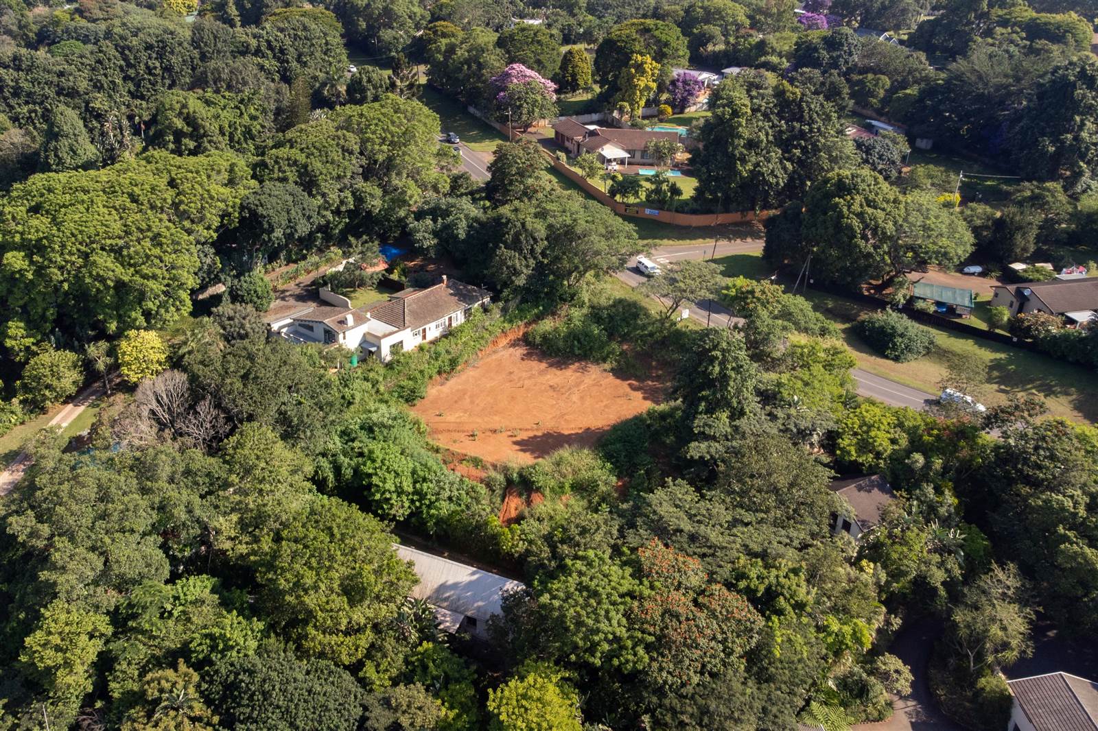 1800 m² Land available in Forest Hills photo number 3