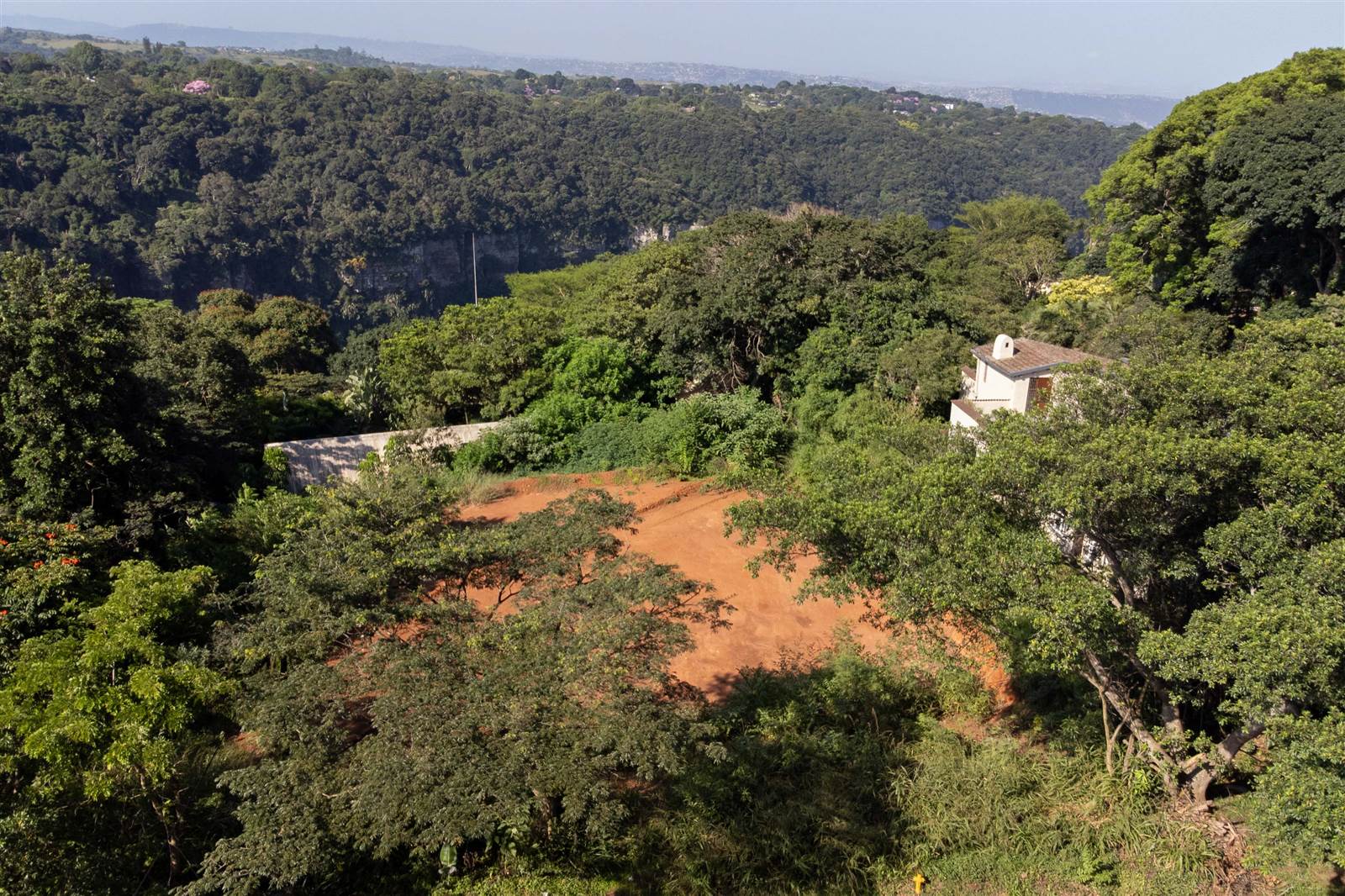 1800 m² Land available in Forest Hills photo number 1