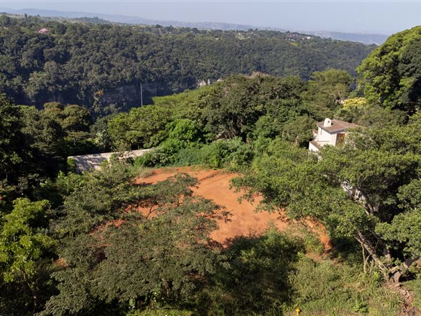 1800 m² Land available in Forest Hills