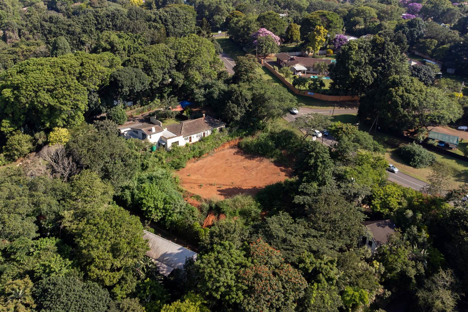 1800 m² Land available in Forest Hills photo number 7