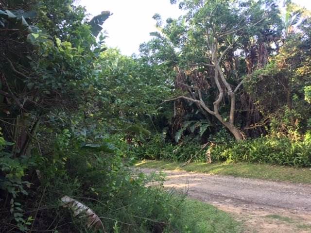 1023 m² Land available in Port Edward photo number 5