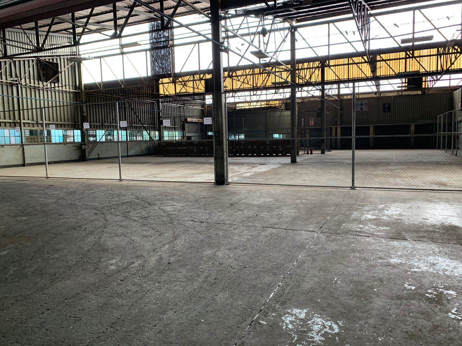 3530  m² Industrial space in Wynberg photo number 21