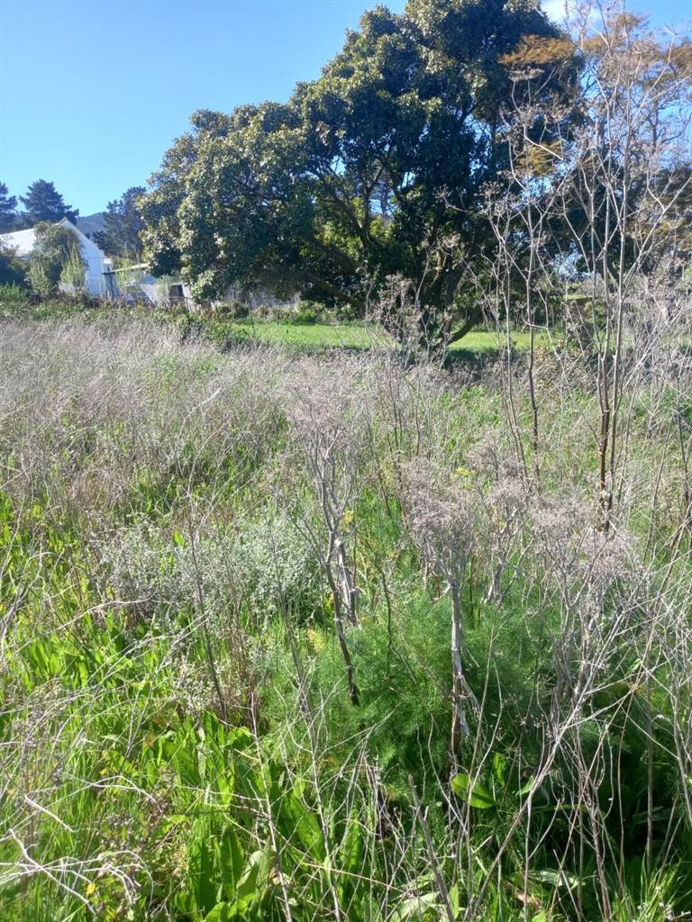 1793 m² Land available in Caledon photo number 10