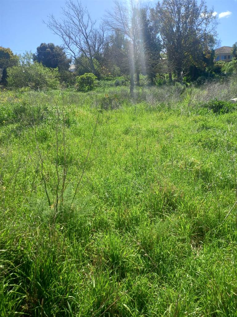 1793 m² Land available in Caledon photo number 4
