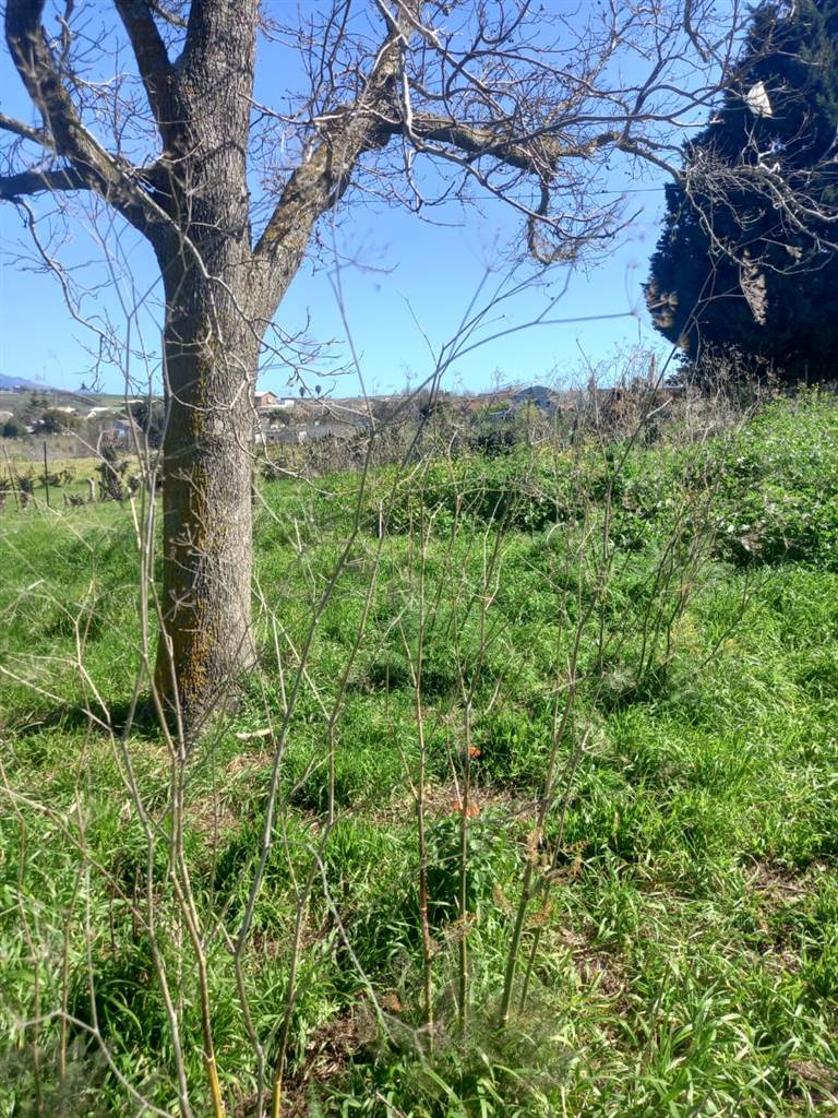 1793 m² Land available in Caledon photo number 11