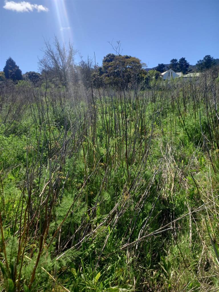 1793 m² Land available in Caledon photo number 13