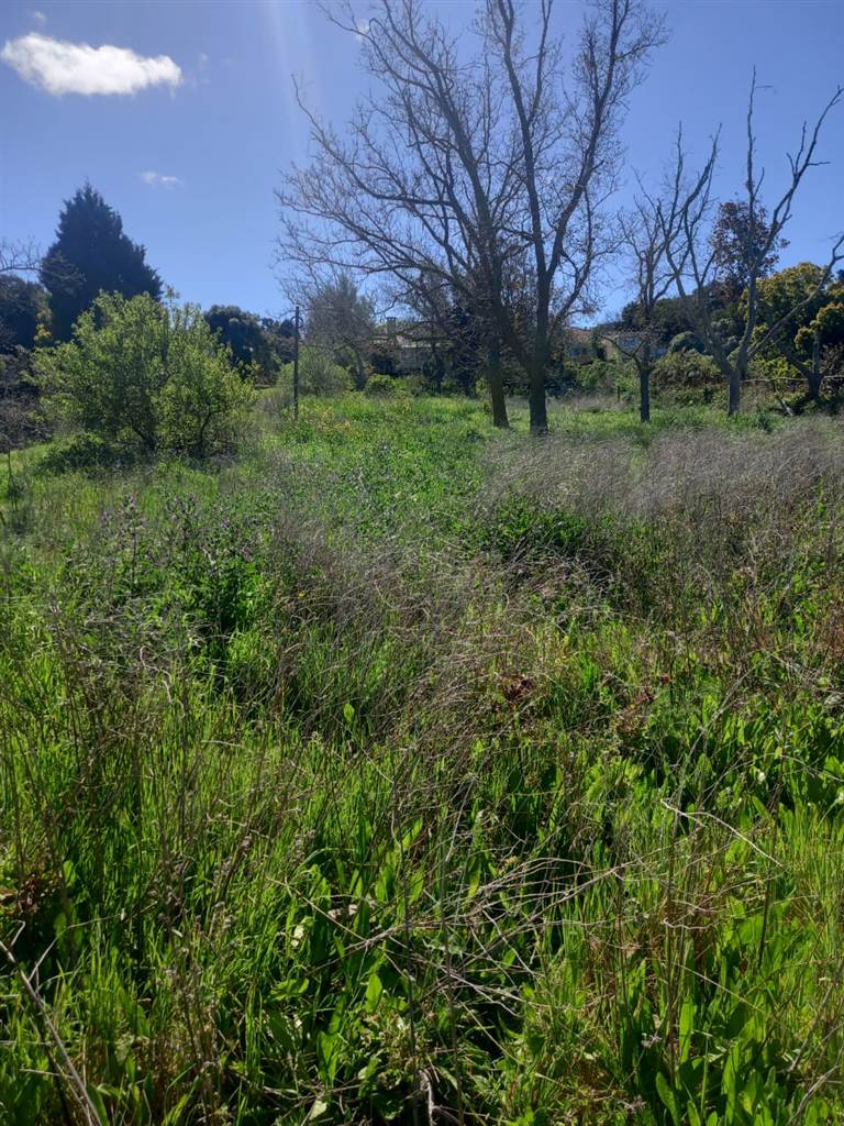 1793 m² Land available in Caledon photo number 2