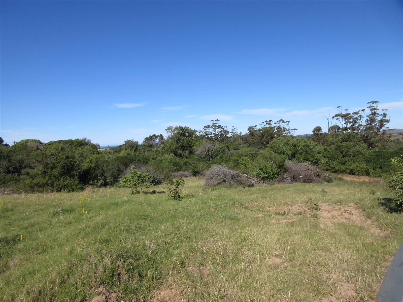 2000 m² Land available in Bathurst and Surrounds photo number 3