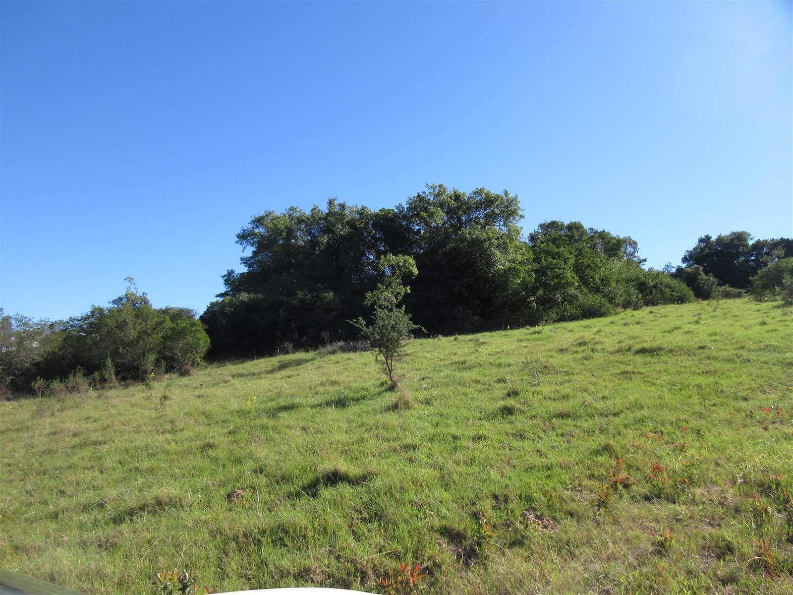 2000 m² Land available in Bathurst and Surrounds photo number 6