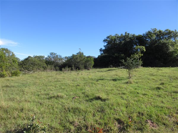 2000 m² Land available in Bathurst and Surrounds