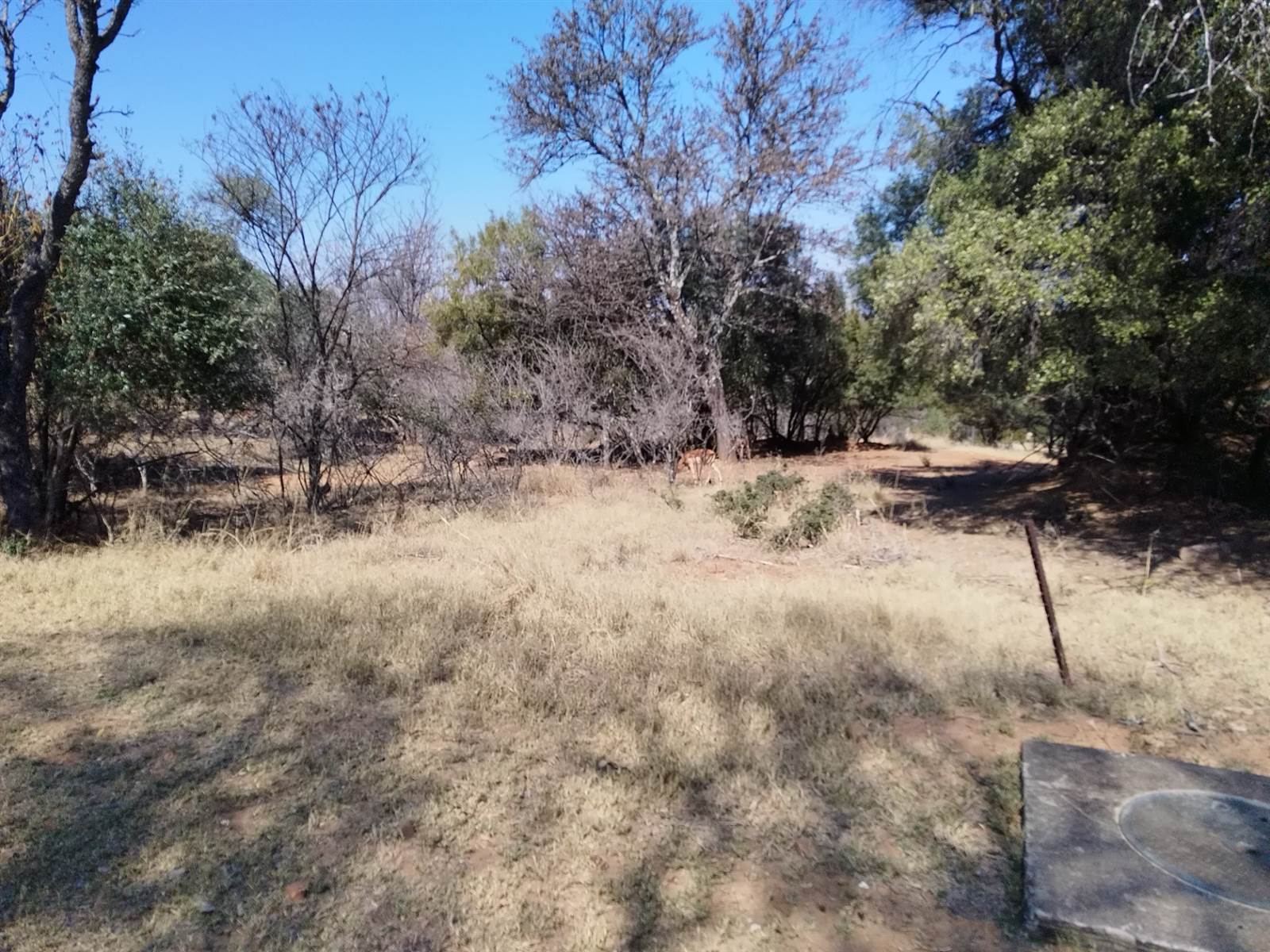 1188 m² Land available in Modimolle photo number 3
