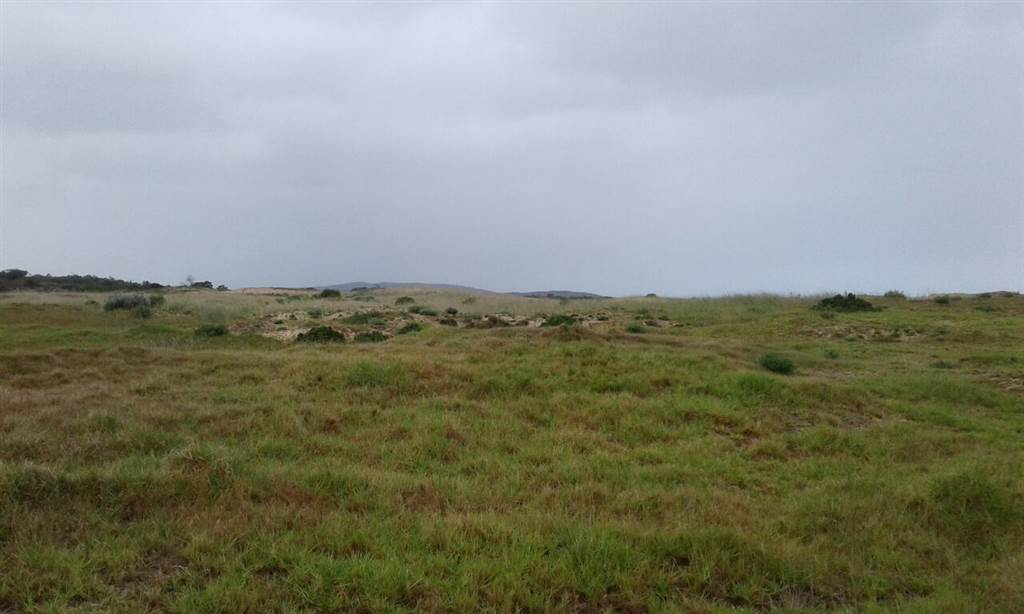 299 ha Land available in Coastal Suburbs photo number 10