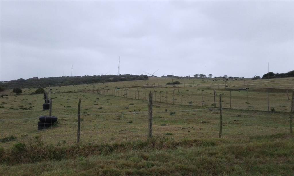 299 ha Land available in Coastal Suburbs photo number 13
