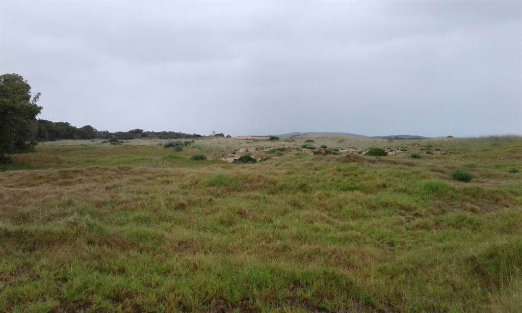 299 ha Land available in Coastal Suburbs photo number 12