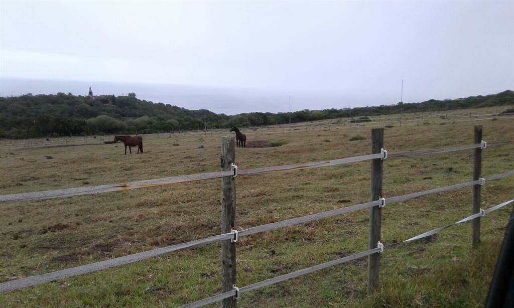 299 ha Land available in Coastal Suburbs photo number 11