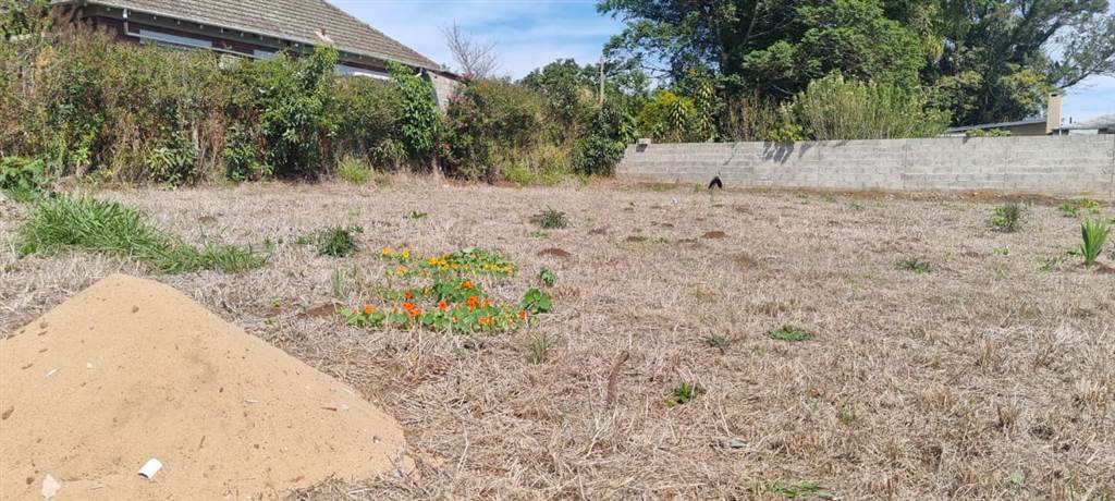 1000 m² Land available in Eshowe photo number 5
