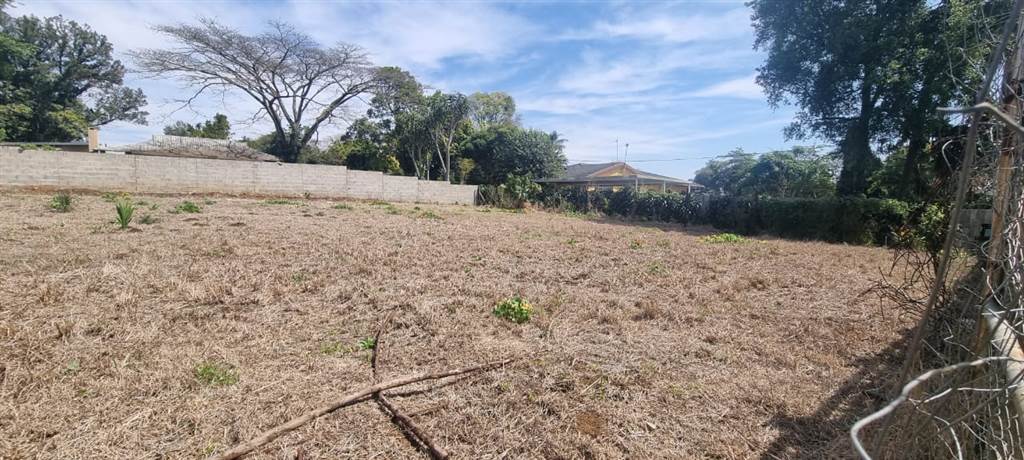 1000 m² Land available in Eshowe photo number 8