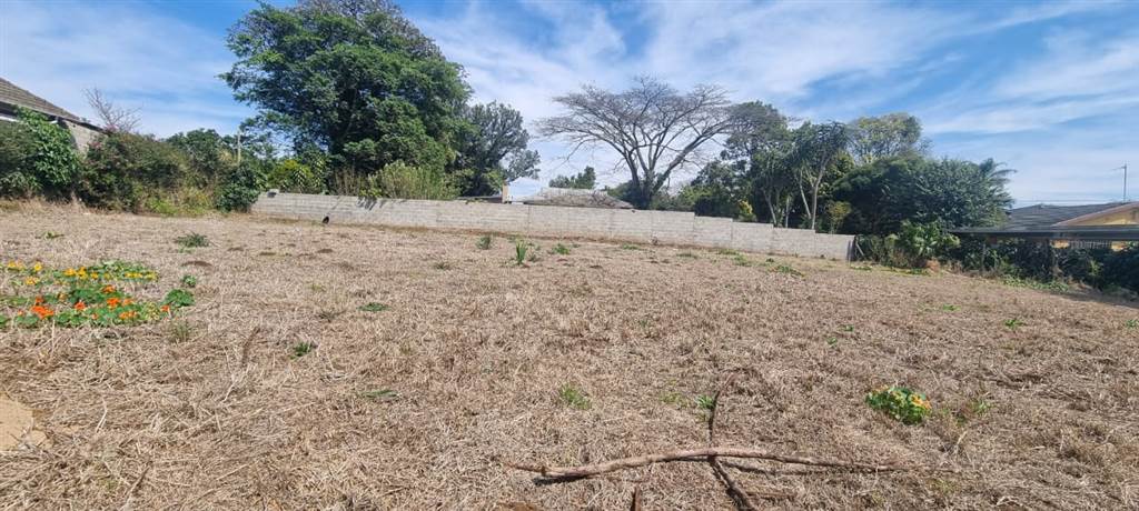 1000 m² Land available in Eshowe photo number 6